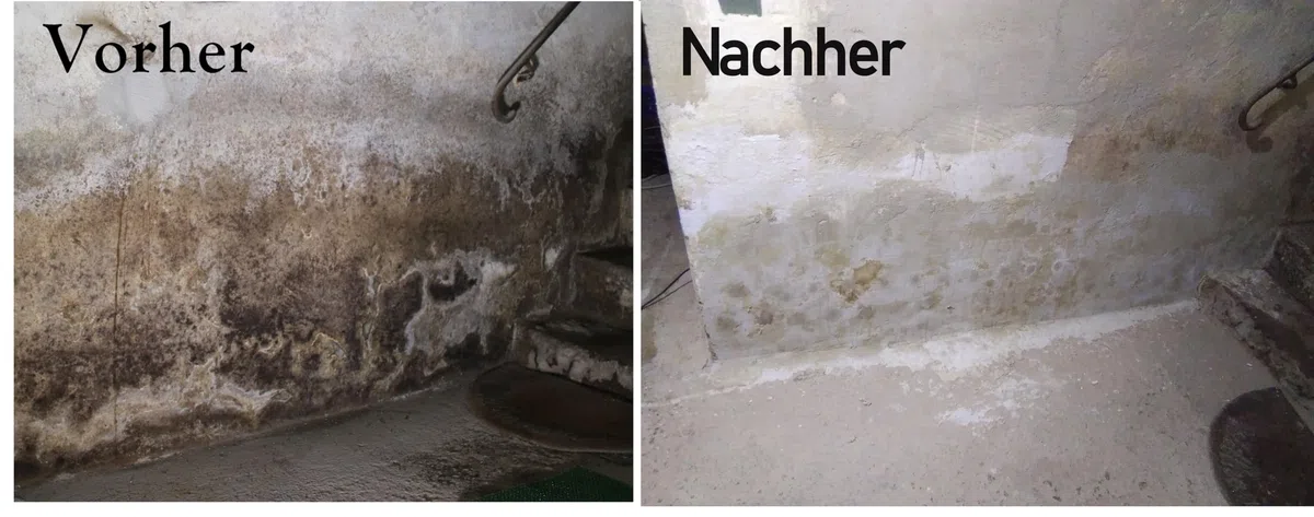 Bohrlochinjektion Nachträgliche Horizontal-Abdichtung Horizontalsperre 25 L+10 Behälter, SILITROCKEN